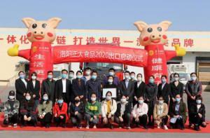 洛陽正大出口香港產(chǎn)品順利通關！