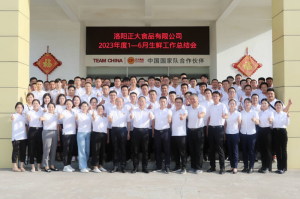 總結(jié)過(guò)去，計(jì)劃未來(lái)，協(xié)同創(chuàng)新，再創(chuàng)佳績(jī)！洛陽(yáng)正大舉行2023年上半年工作總結(jié)會(huì)議